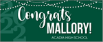 Party Lights Banner 5 foot BANNER with Name Only