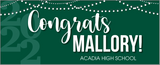 Party Lights Banner 5 foot BANNER with Name Only