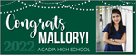Party Lights 5 foot BANNER with Photo