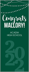 Party Lights GRADUATION DOOR BANNER with Name Only