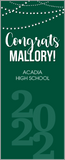 Party Lights GRADUATION DOOR BANNER with Name Only