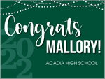 Party Lights GRADUATION YARD SIGNS with Name Only